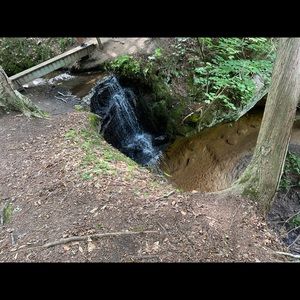 Meet your Posher, Corrin